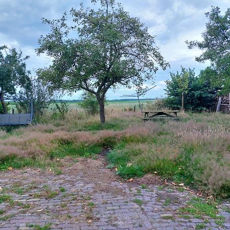 Logeerruimte In Gerenoveerde Boerderij In Wachtum Leilighet Eksteriør bilde