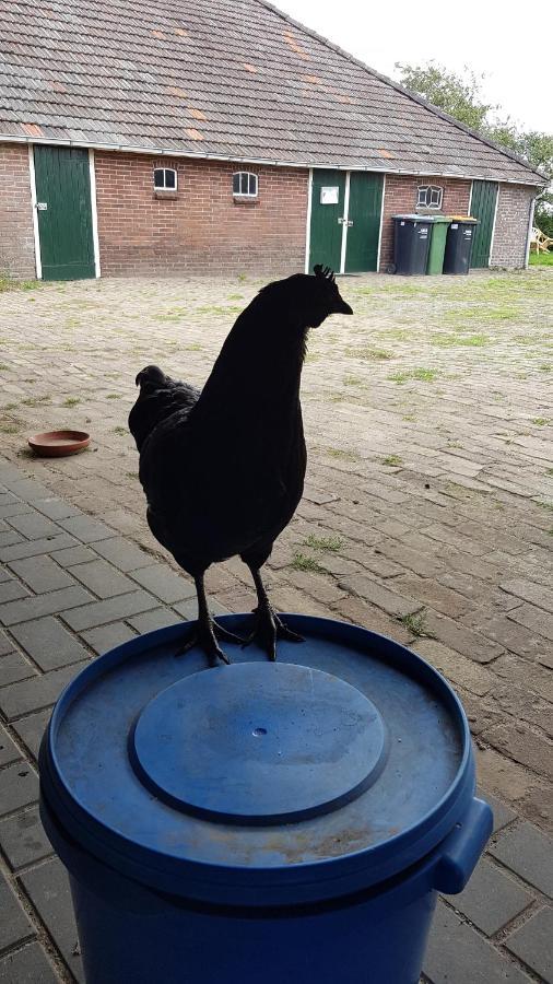 Logeerruimte In Gerenoveerde Boerderij In Wachtum Leilighet Eksteriør bilde