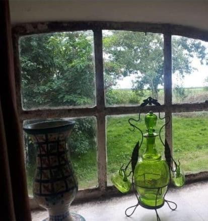 Logeerruimte In Gerenoveerde Boerderij In Wachtum Leilighet Eksteriør bilde