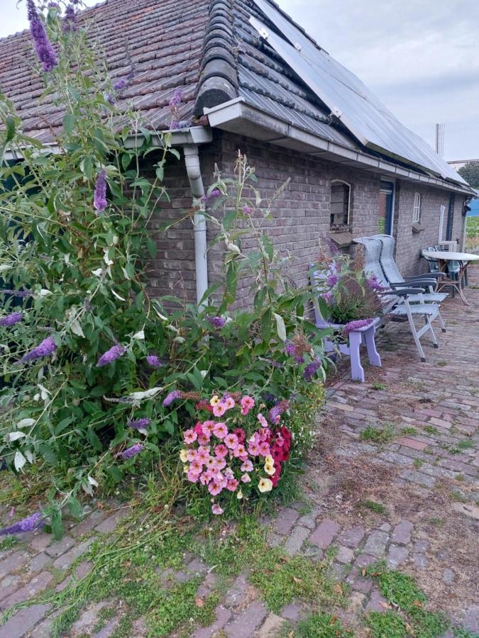 Logeerruimte In Gerenoveerde Boerderij In Wachtum Leilighet Eksteriør bilde