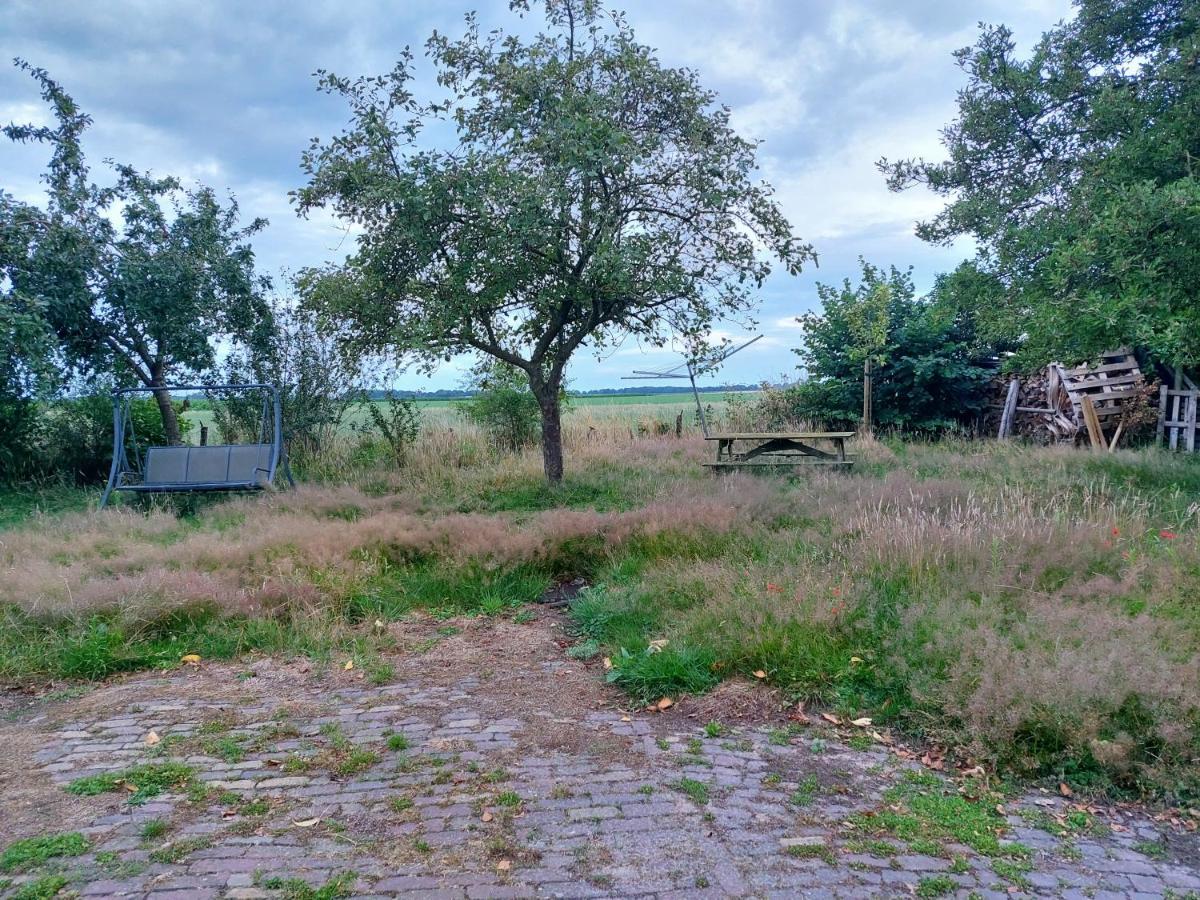 Logeerruimte In Gerenoveerde Boerderij In Wachtum Leilighet Eksteriør bilde