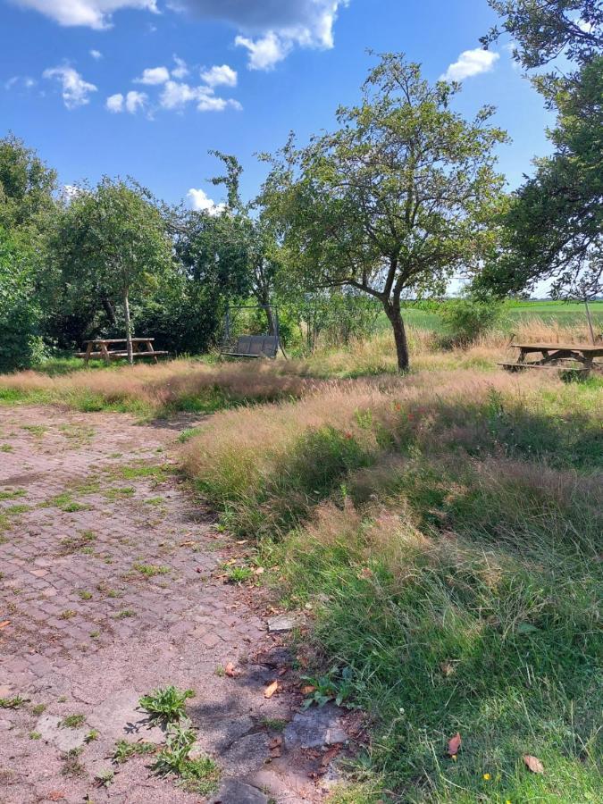 Logeerruimte In Gerenoveerde Boerderij In Wachtum Leilighet Eksteriør bilde