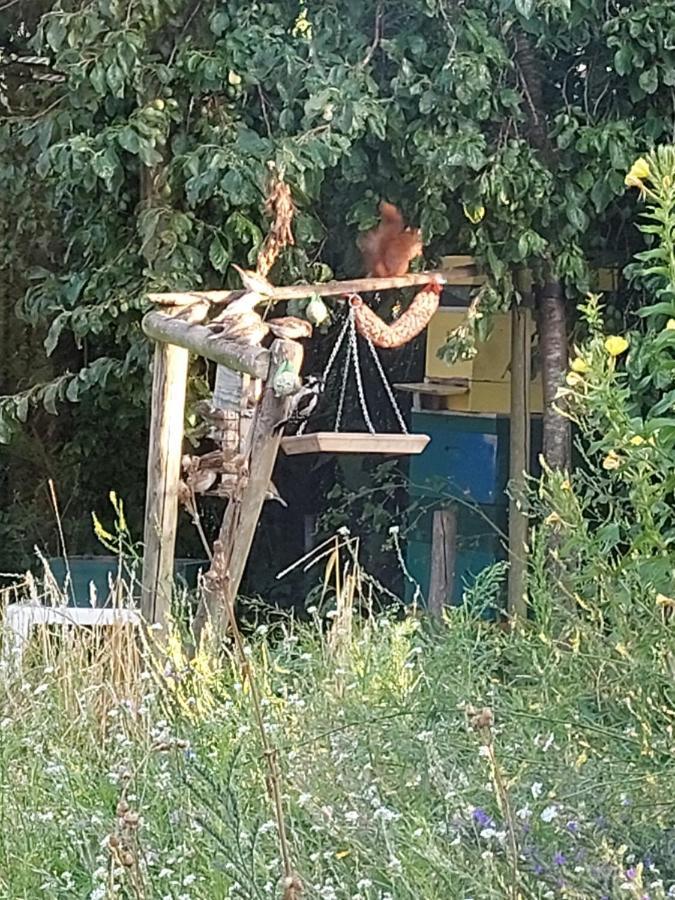 Logeerruimte In Gerenoveerde Boerderij In Wachtum Leilighet Eksteriør bilde